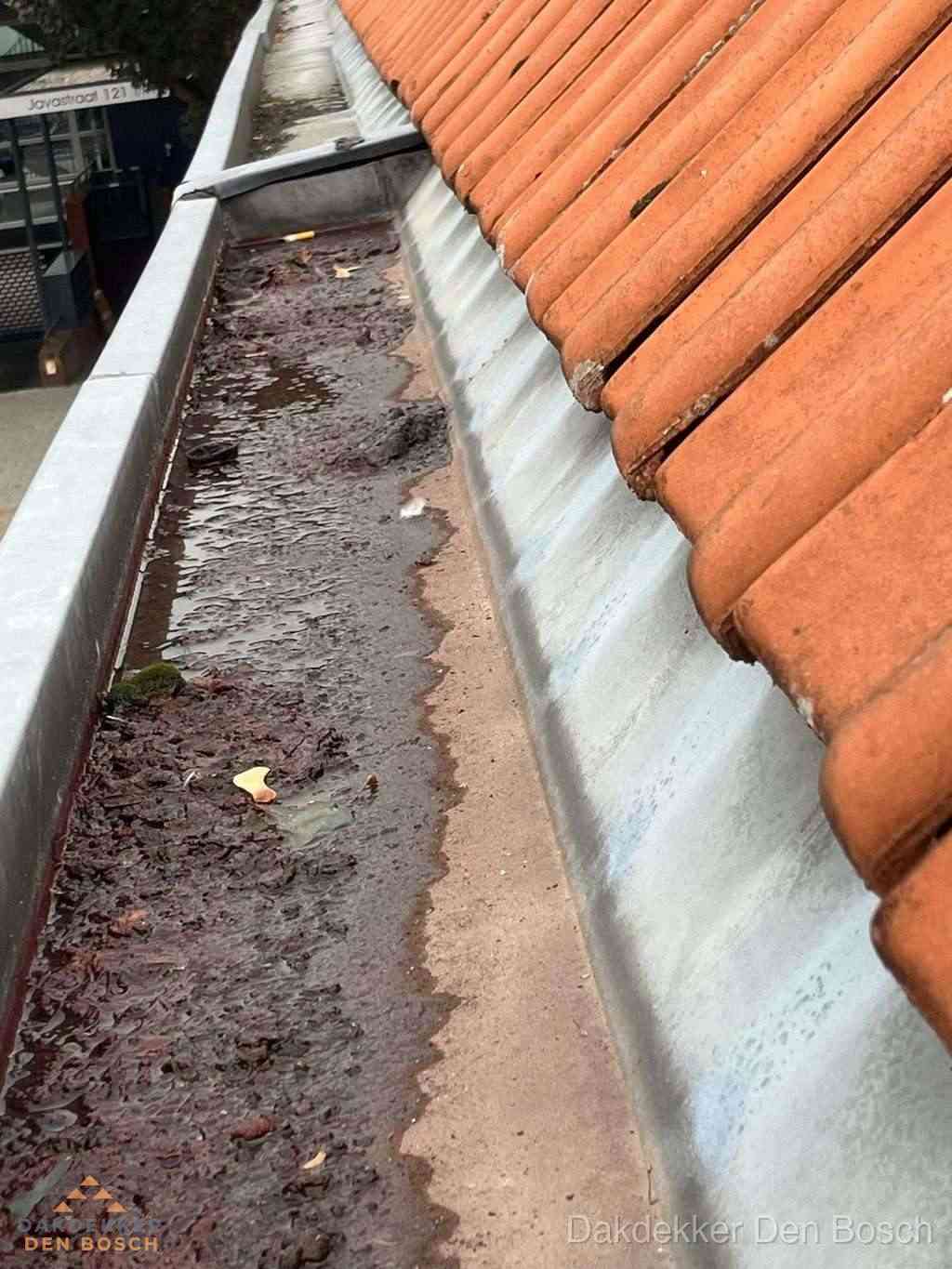Dakgoot Reparatie Denbosch Dakgoot Reparatie Denbosch