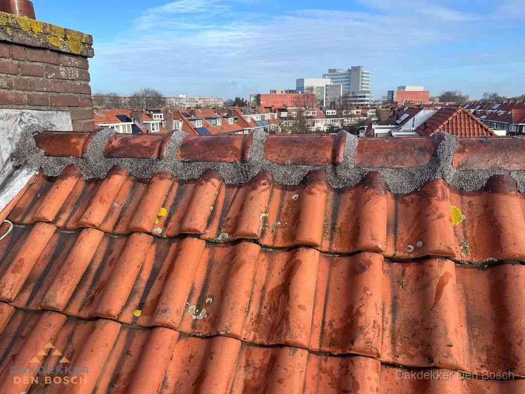 Denbosch Daken Renoveren Denbosch Daken Renoveren