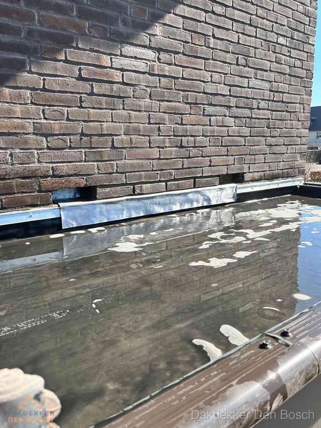 Lekkage Dak Repareren Denbosch Lekkage Dak Repareren Denbosch