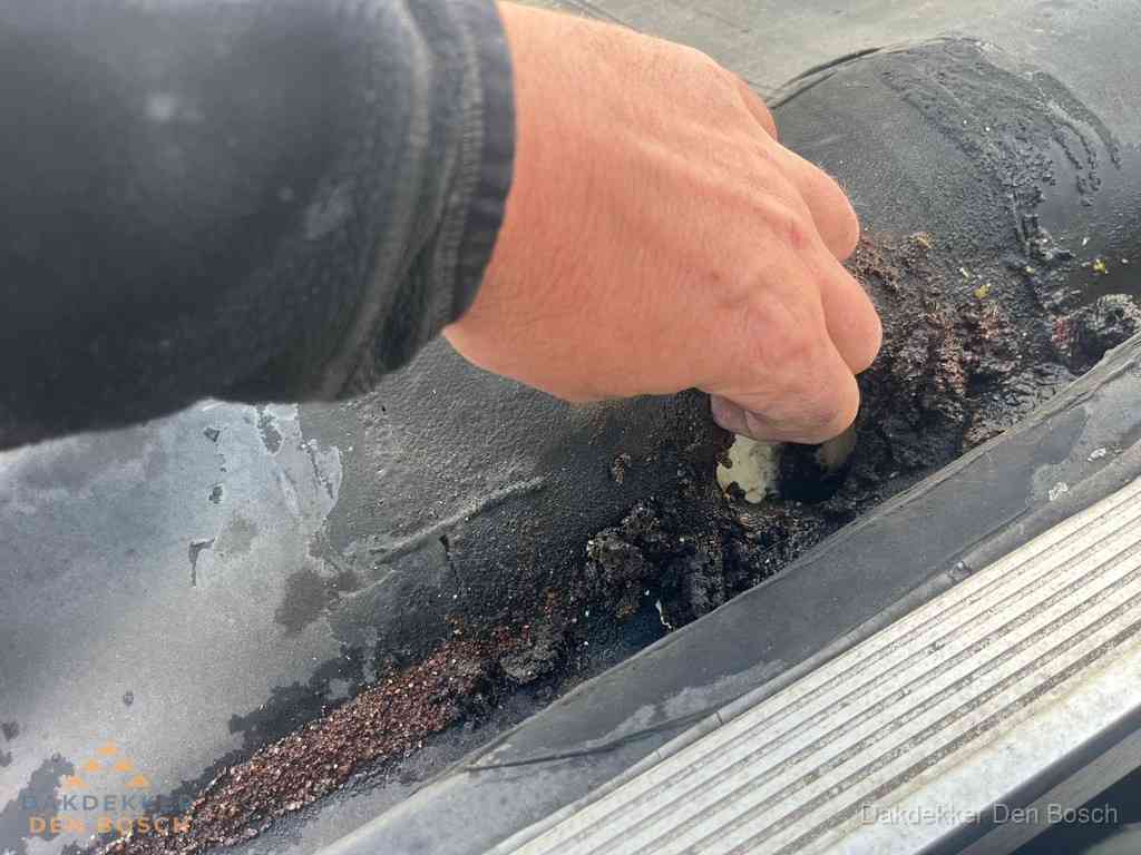 Plat Dak Reparatie Denbosch Plat Dak Reparatie Denbosch