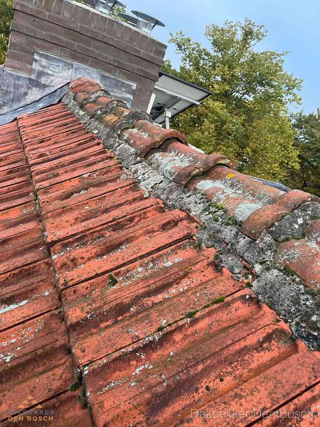 Renovatie Hellend Dak Denbosch Renovatie Hellend Dak Denbosch